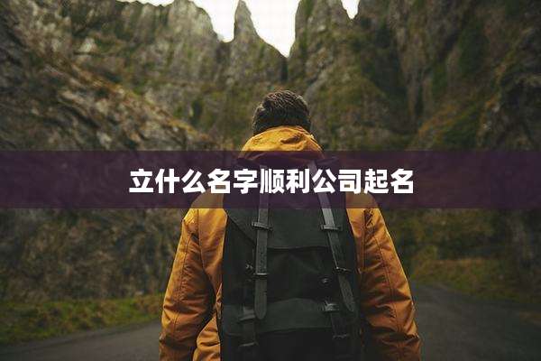 立什么名字顺利公司起名