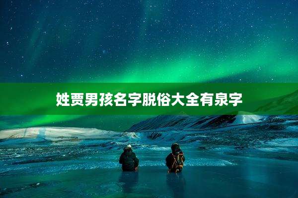 姓贾男孩名字脱俗大全有泉字