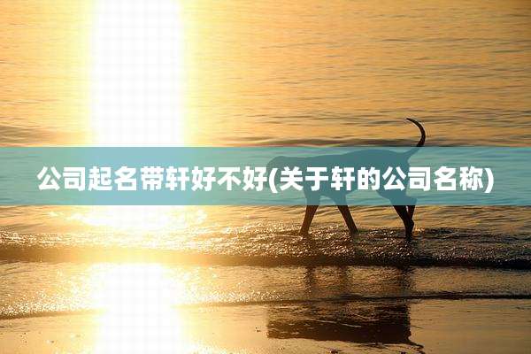 公司起名带轩好不好(关于轩的公司名称)