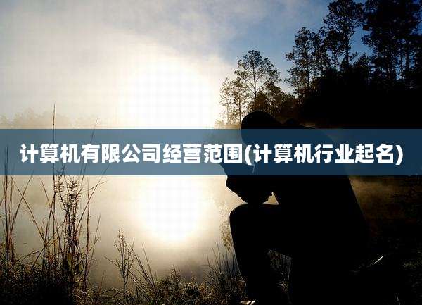 计算机有限公司经营范围(计算机行业起名)