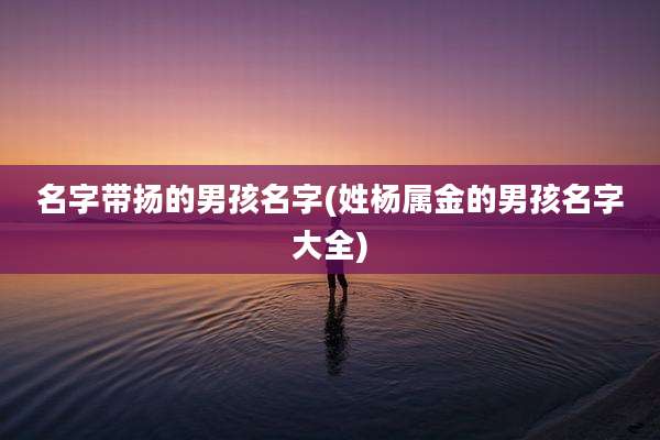 名字带扬的男孩名字(姓杨属金的男孩名字大全)