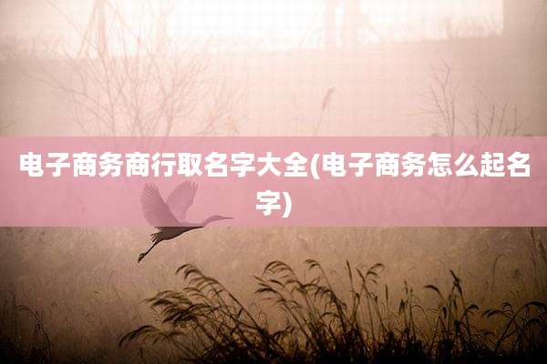 电子商务商行取名字大全(电子商务怎么起名字)