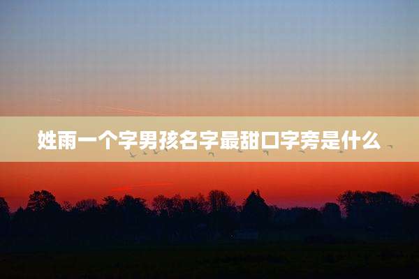 姓雨一个字男孩名字最甜口字旁是什么