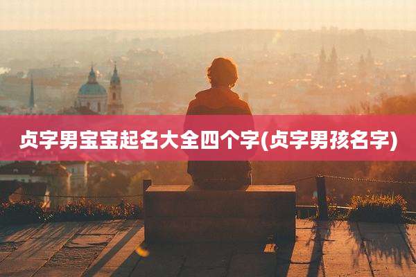 贞字男宝宝起名大全四个字(贞字男孩名字)