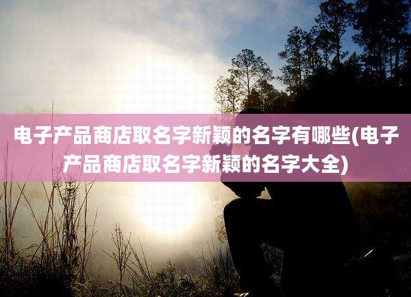 电子产品商店取名字新颖的名字有哪些(电子产品商店取名字新颖的名字大全)