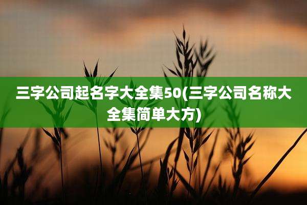 三字公司起名字大全集50(三字公司名称大全集简单大方)
