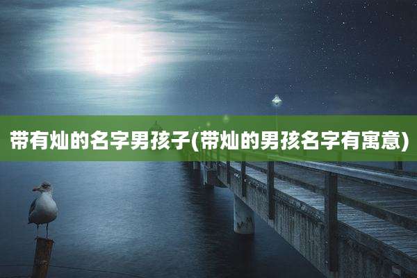 带有灿的名字男孩子(带灿的男孩名字有寓意)