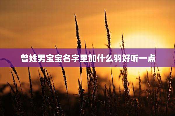 曾姓男宝宝名字里加什么羽好听一点