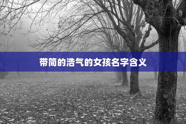 带简的浩气的女孩名字含义