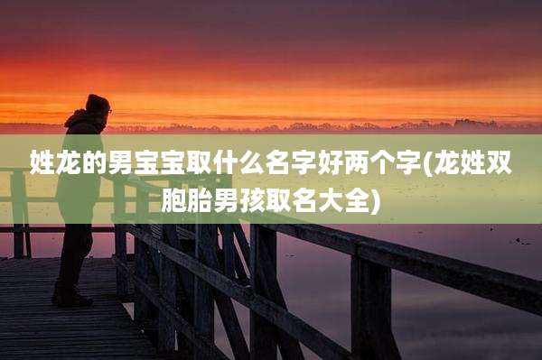 姓龙的男宝宝取什么名字好两个字(龙姓双胞胎男孩取名大全)