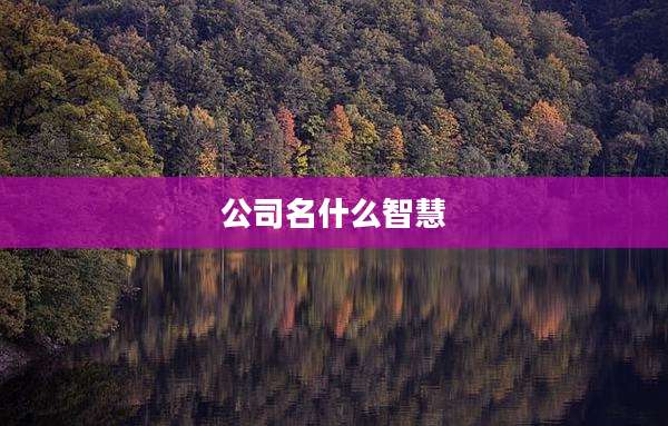 公司名什么智慧