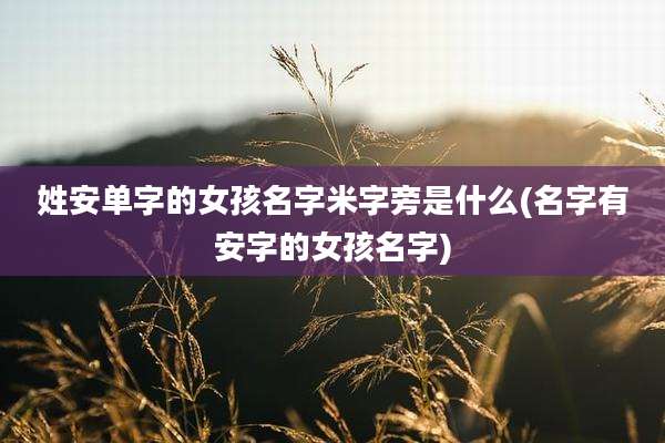 姓安单字的女孩名字米字旁是什么(名字有安字的女孩名字)