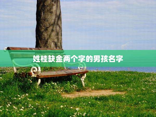 姓桂缺金两个字的男孩名字