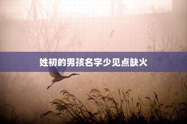 姓初的男孩名字少见点缺火