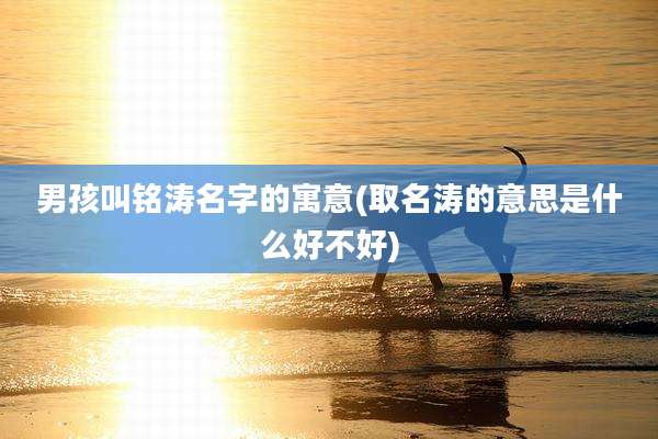 男孩叫铭涛名字的寓意(取名涛的意思是什么好不好)