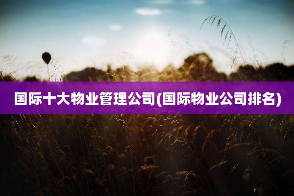 国际十大物业管理公司(国际物业公司排名)