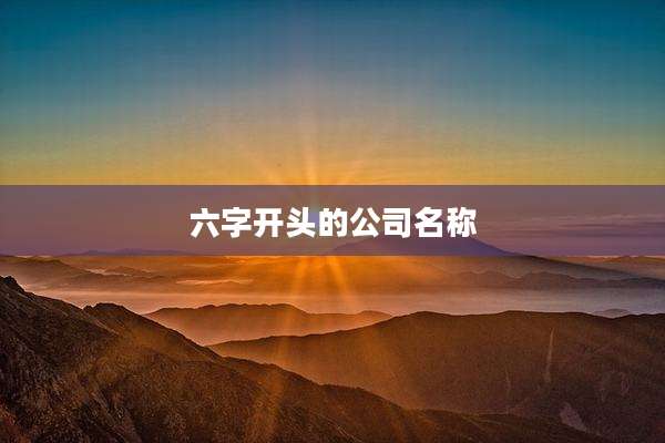 六字开头的公司名称
