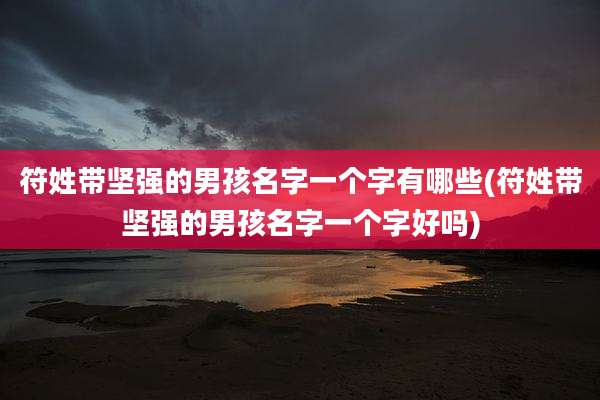 符姓带坚强的男孩名字一个字有哪些(符姓带坚强的男孩名字一个字好吗)