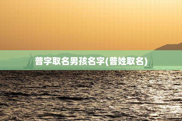 普字取名男孩名字(普姓取名)