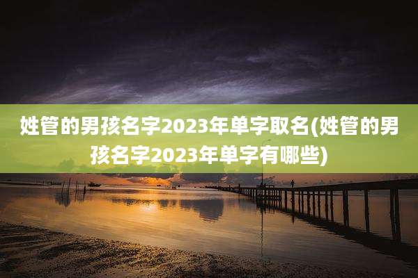 姓管的男孩名字2023年单字取名(姓管的男孩名字2023年单字有哪些)