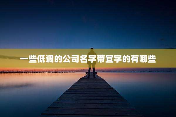 一些低调的公司名字带宜字的有哪些