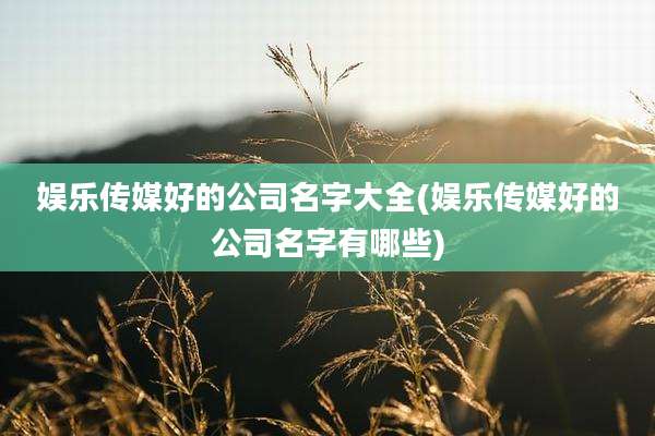 娱乐传媒好的公司名字大全(娱乐传媒好的公司名字有哪些)