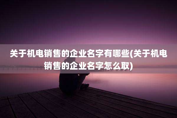 关于机电销售的企业名字有哪些(关于机电销售的企业名字怎么取)