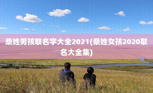 桑姓男孩取名字大全2021(桑姓女孩2020取名大全集)