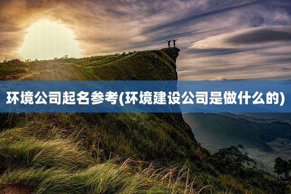 环境公司起名参考(环境建设公司是做什么的)