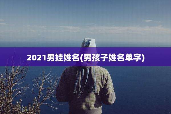 2021男娃姓名(男孩子姓名单字)
