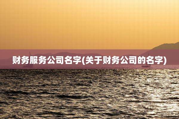 财务服务公司名字(关于财务公司的名字)
