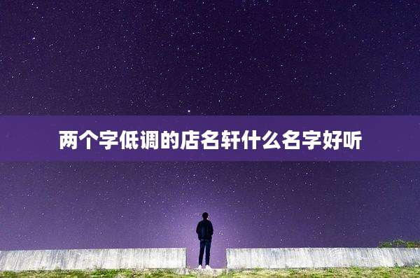 两个字低调的店名轩什么名字好听