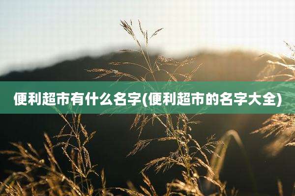 便利超市有什么名字(便利超市的名字大全)