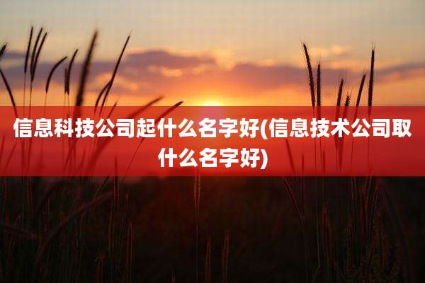 信息科技公司起什么名字好(信息技术公司取什么名字好)