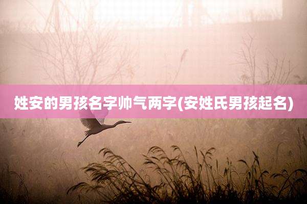 姓安的男孩名字帅气两字(安姓氏男孩起名)