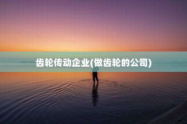 齿轮传动企业(做齿轮的公司)