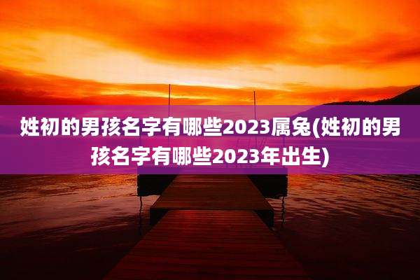 姓初的男孩名字有哪些2023属兔(姓初的男孩名字有哪些2023年出生)