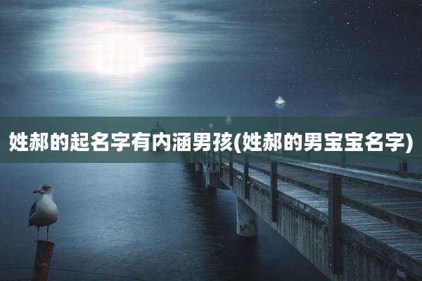 姓郝的起名字有内涵男孩(姓郝的男宝宝名字)