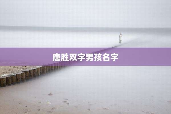 唐胜双字男孩名字