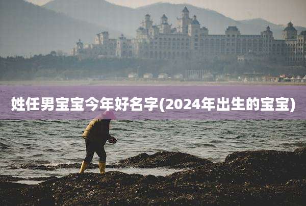 姓任男宝宝今年好名字(2024年出生的宝宝)