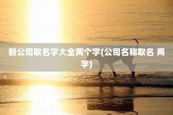 新公司取名字大全两个字(公司名称取名 两字)