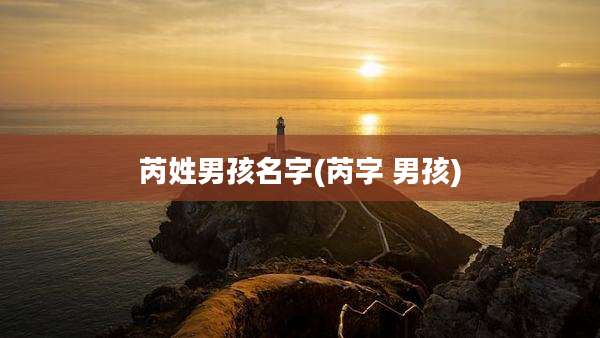 芮姓男孩名字(芮字 男孩)