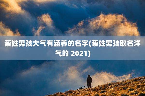 蔡姓男孩大气有涵养的名字(蔡姓男孩取名洋气的 2021)