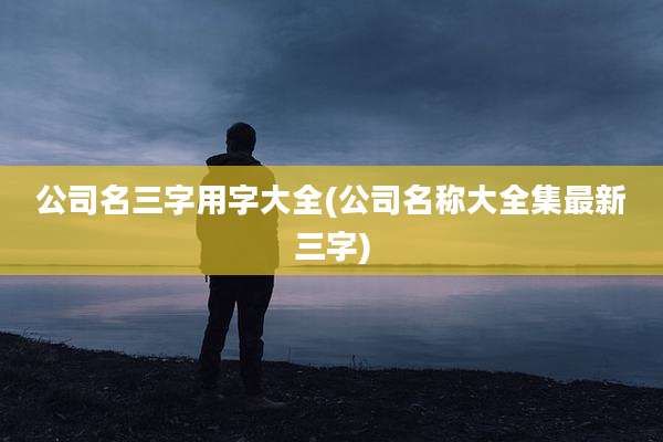 公司名三字用字大全(公司名称大全集最新三字)