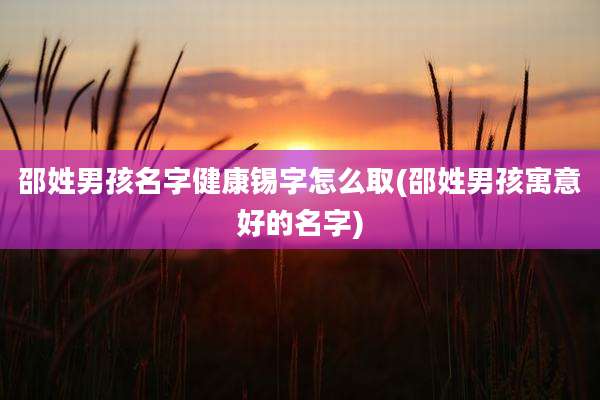 邵姓男孩名字健康锡字怎么取(邵姓男孩寓意好的名字)
