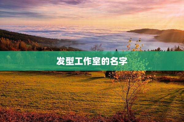 发型工作室的名字