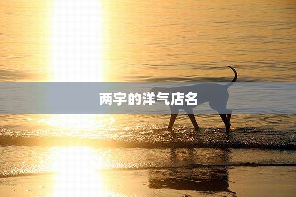 两字的洋气店名