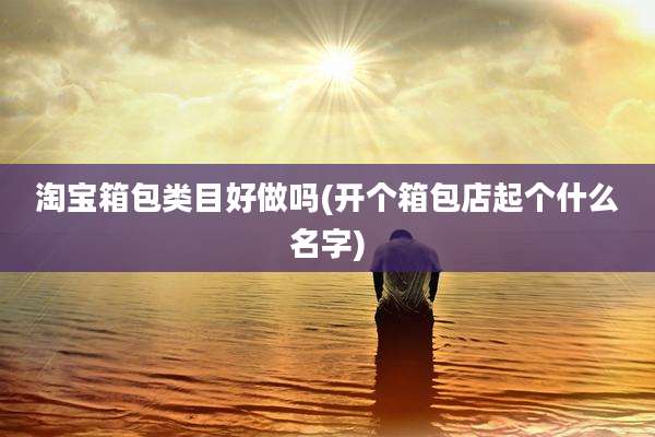 淘宝箱包类目好做吗(开个箱包店起个什么名字)