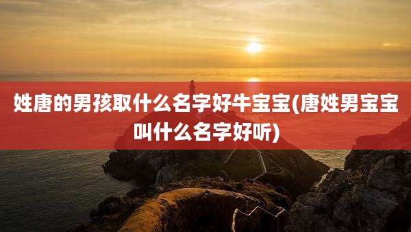 姓唐的男孩取什么名字好牛宝宝(唐姓男宝宝叫什么名字好听)