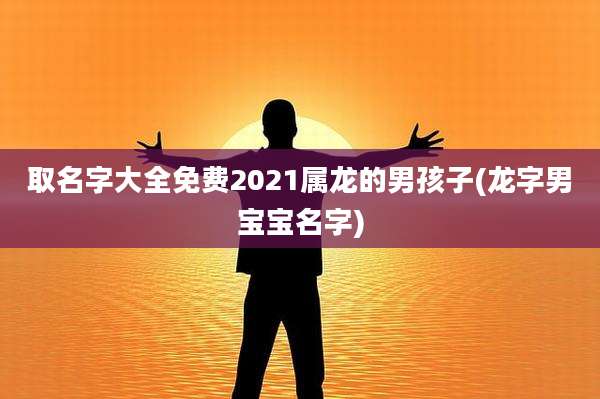取名字大全免费2021属龙的男孩子(龙字男宝宝名字)